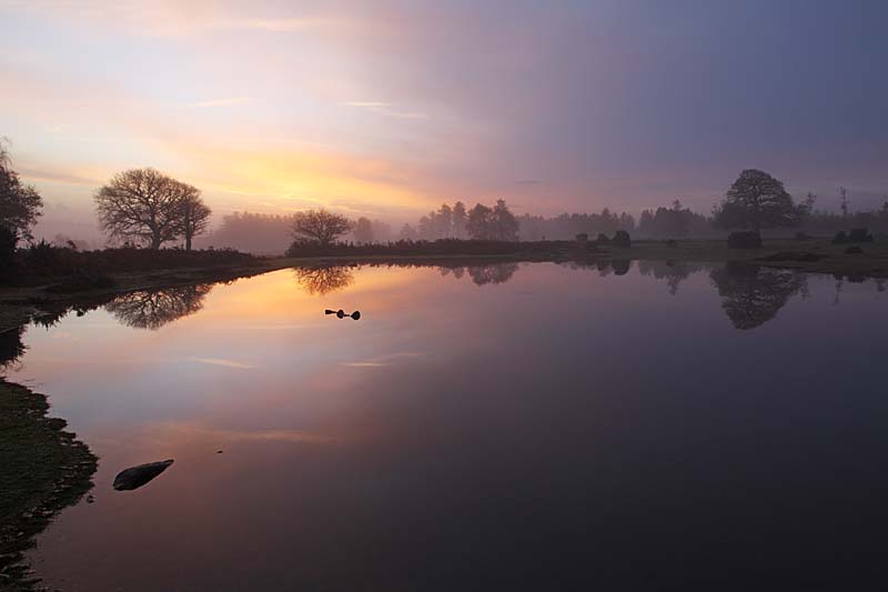C01D2949 Sunrise Mogshade Hill New Forest Copyright Mike Read.jpg - Sunrise over small pond Mogshade Hill